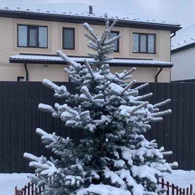 Buy house - Kyivska obl., Poltavska street5А, Petropavlivska Borshchagivka. Sale of real estate - Buchanskyi, secondary market and new building cheap, price up to 130000$, announcement no.1918164 фото 1