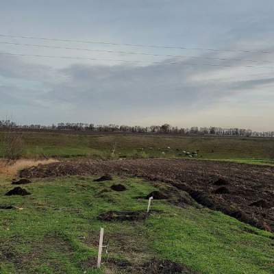 Buy land plot - Kyivska obl.. Sale of real estate - Bilotserkivskyi, secondary market and new building cheap, price up to 15900$, announcement no.1953302 фото 10
