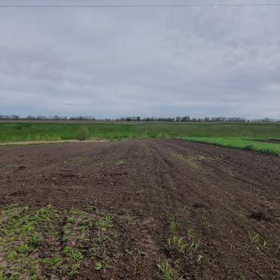 Buy land plot - Kyivska obl.. Sale of real estate - Bilotserkivskyi, secondary market and new building cheap, price up to 15900$, announcement no.1953302 фото 11