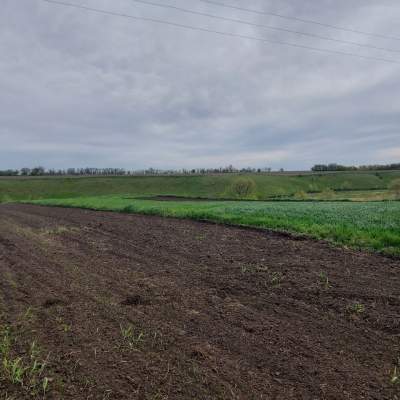 Buy land plot - Kyivska obl.. Sale of real estate - Bilotserkivskyi, secondary market and new building cheap, price up to 15900$, announcement no.1953302 фото 12