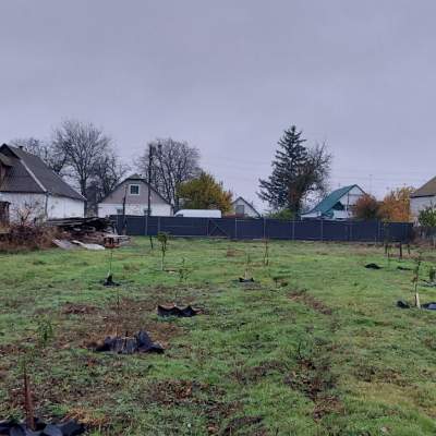 Buy land plot - Kyivska obl.. Sale of real estate - Bilotserkivskyi, secondary market and new building cheap, price up to 15900$, announcement no.1953302 фото 2