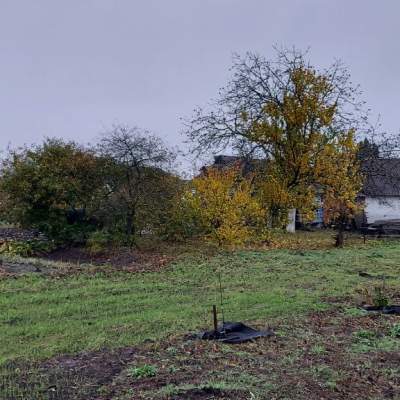 Buy land plot - Kyivska obl.. Sale of real estate - Bilotserkivskyi, secondary market and new building cheap, price up to 15900$, announcement no.1953302 фото 5