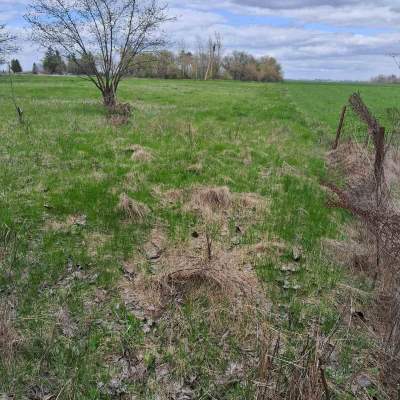 Buy land plot - Kyivska obl., , Marjyanivka village. Sale of real estate - Vasylkivskyi, secondary market and new building cheap, price up to 15000$, announcement no.1962255 фото 11