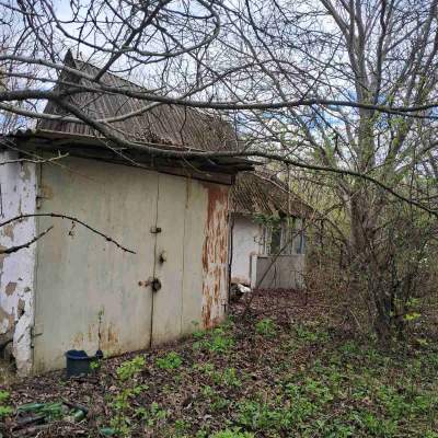 Buy land plot - Kyivska obl., , Marjyanivka village. Sale of real estate - Vasylkivskyi, secondary market and new building cheap, price up to 15000$, announcement no.1962255 фото 12