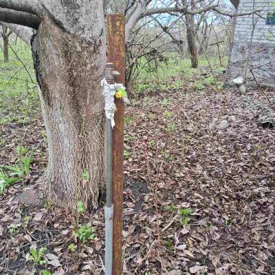 Buy land plot - Kyivska obl., , Marjyanivka village. Sale of real estate - Vasylkivskyi, secondary market and new building cheap, price up to 15000$, announcement no.1962255 фото 14