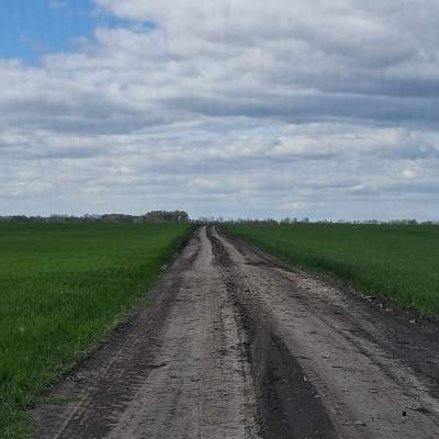 Buy land plot - Kyivska obl., , Marjyanivka village. Sale of real estate - Vasylkivskyi, secondary market and new building cheap, price up to 15000$, announcement no.1962255 фото 25