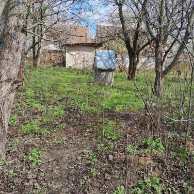 Buy land plot - Kyivska obl., , Marjyanivka village. Sale of real estate - Vasylkivskyi, secondary market and new building cheap, price up to 15000$, announcement no.1962255 фото 4