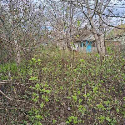 Buy land plot - Kyivska obl., , Marjyanivka village. Sale of real estate - Vasylkivskyi, secondary market and new building cheap, price up to 15000$, announcement no.1962255 фото 5
