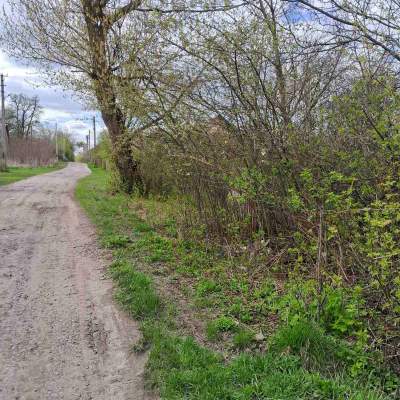 Buy land plot - Kyivska obl., , Marjyanivka village. Sale of real estate - Vasylkivskyi, secondary market and new building cheap, price up to 15000$, announcement no.1962255 фото 6