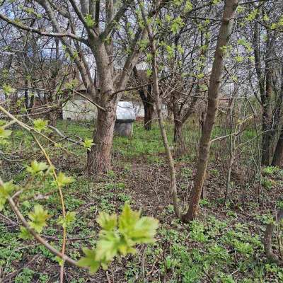 Buy land plot - Kyivska obl., , Marjyanivka village. Sale of real estate - Vasylkivskyi, secondary market and new building cheap, price up to 15000$, announcement no.1962255 фото 8