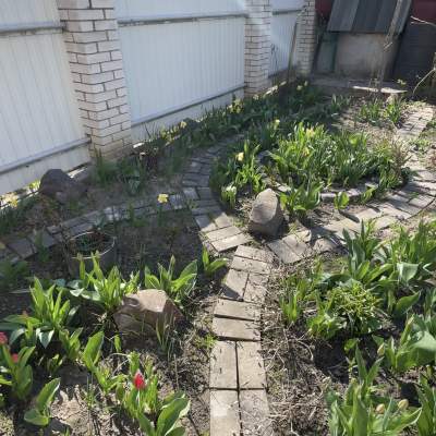 Buy house - Kyivska obl., Ozera village. Sale of real estate - Buchanskyi, secondary market and new building cheap, price up to 80000$, announcement no.1962823 фото 14