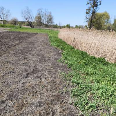 Buy land plot - Kyivska obl.. Sale of real estate - Boryspilskyi, secondary market and new building cheap, price up to 42000$, announcement no.2007594 фото 3