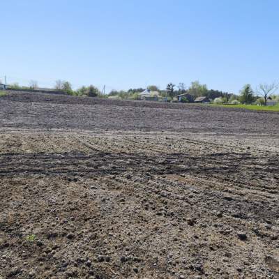 Buy land plot - Kyivska obl.. Sale of real estate - Boryspilskyi, secondary market and new building cheap, price up to 42000$, announcement no.2007594 фото 5
