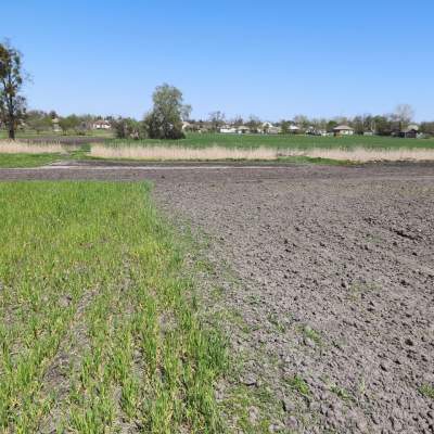 Buy land plot - Kyivska obl.. Sale of real estate - Boryspilskyi, secondary market and new building cheap, price up to 42000$, announcement no.2007594 фото 1
