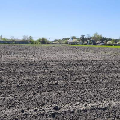 Buy land plot - Kyivska obl.. Sale of real estate - Boryspilskyi, secondary market and new building cheap, price up to 42000$, announcement no.2007594 фото 7