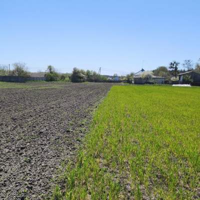 Buy land plot - Kyivska obl.. Sale of real estate - Boryspilskyi, secondary market and new building cheap, price up to 42000$, announcement no.2007594 фото 8