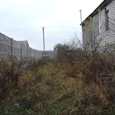 Buy land plot - Kyivska obl., Zelena street, Tarasivka village. Sale of real estate - Fastivskyi, secondary market and new building cheap, price up to 45000$, announcement no.2009280 фото 3