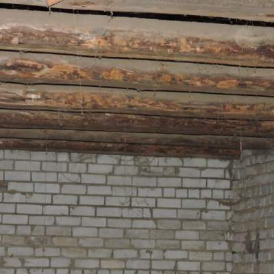 Buy land plot - Kyivska obl., Zelena street, Tarasivka village. Sale of real estate - Fastivskyi, secondary market and new building cheap, price up to 45000$, announcement no.2009280 фото 7