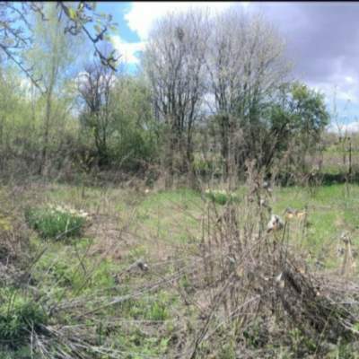 Buy house - Kyivska obl., Myru street21, Dudarkiv village. Sale of real estate - Boryspilskyi, secondary market and new building cheap, price up to 15000$, announcement no.2013616 фото 12