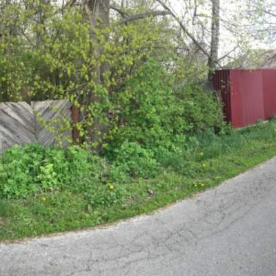 Buy house - Kyivska obl., Myru street21, Dudarkiv village. Sale of real estate - Boryspilskyi, secondary market and new building cheap, price up to 15000$, announcement no.2013616 фото 13