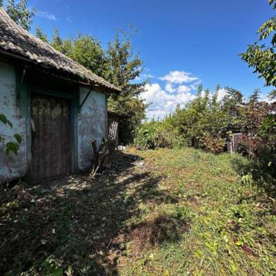 Buy house - Kyivska obl., 6, Krasna Slobidka village. Sale of real estate - Obukhivskyi, secondary market and new building cheap, price up to 25000$, announcement no.2013634 фото 2