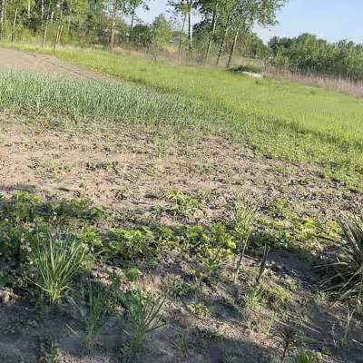Buy land plot - Kyivska obl., Podillya village. Sale of real estate - Baryshevskyi, secondary market and new building cheap, price up to 25000$, announcement no.2018255 фото 11