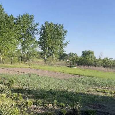 Buy land plot - Kyivska obl., Podillya village. Sale of real estate - Baryshevskyi, secondary market and new building cheap, price up to 25000$, announcement no.2018255 фото 3