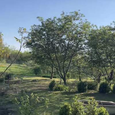 Buy land plot - Kyivska obl., Podillya village. Sale of real estate - Baryshevskyi, secondary market and new building cheap, price up to 25000$, announcement no.2018255 фото 5