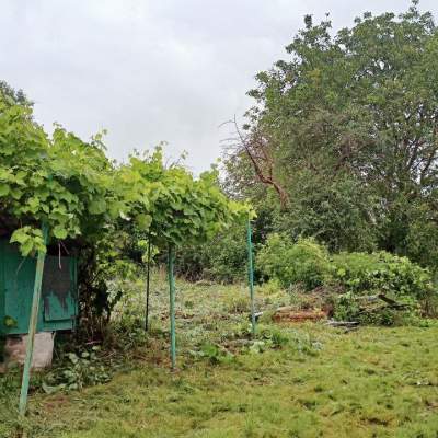 Buy land plot - Kyivska obl., Nalyvaikivka village. Sale of real estate - Makarivskyi, secondary market and new building cheap, price up to 8000$, announcement no.2048768 фото 4